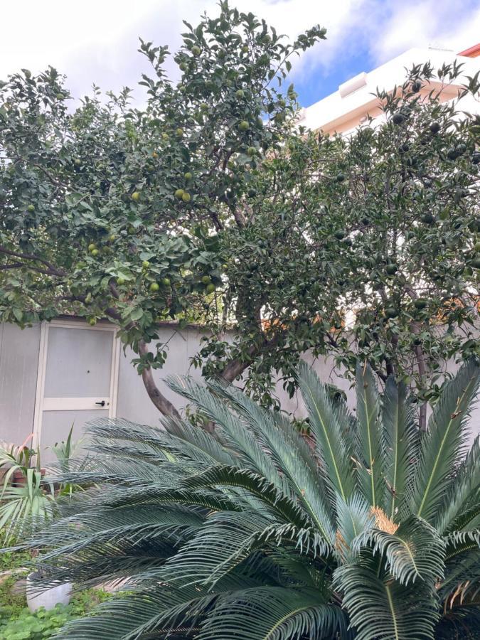 Tangerine Tree House Apartamento Cagliari Exterior foto